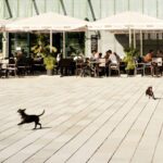 Initiative für eine saubere Stadt