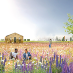 Bundesgartenschau und Grünzug umsetzen