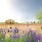 Bundesgartenschau und Grünzug umsetzen